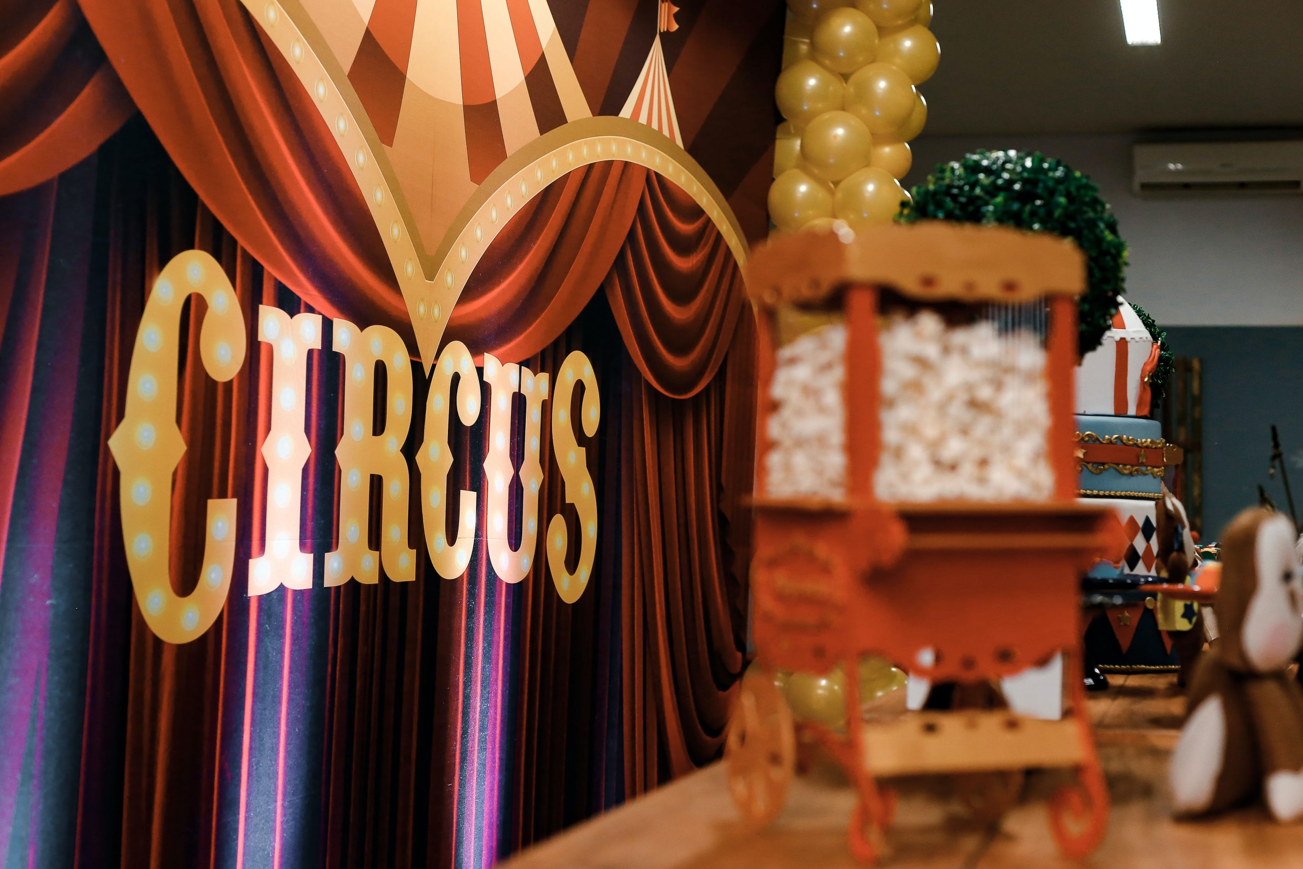 Mr Dan's Circus Skills Workshops